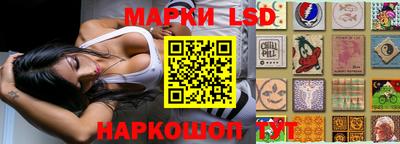 дживик Моздок