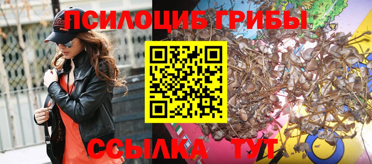 Псилоцибиновые грибы Psilocybine cubensis Губкин