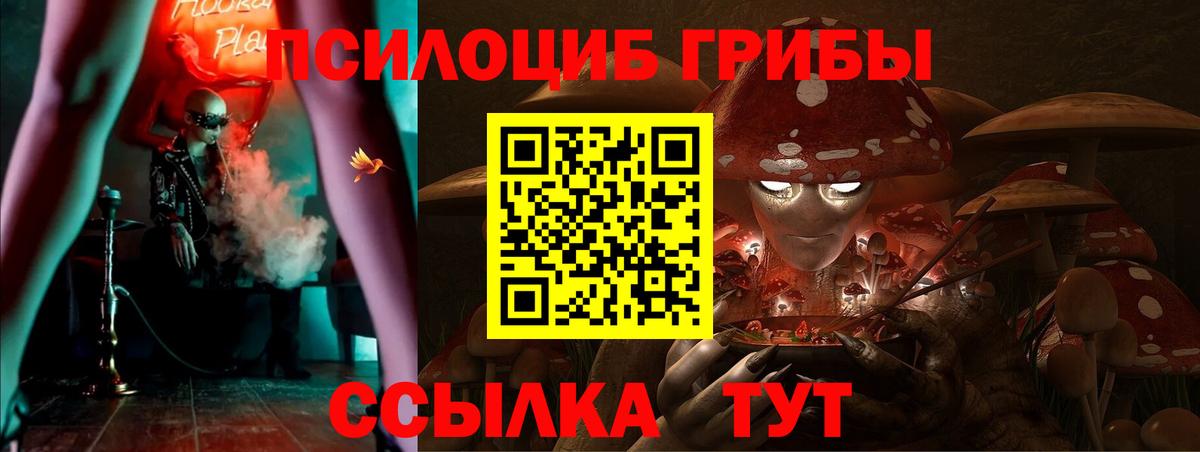 Галлюциногенные грибы MAGIC MUSHROOMS  Галлюциногенные грибы мицелий  Губкин  Вход с VPN 